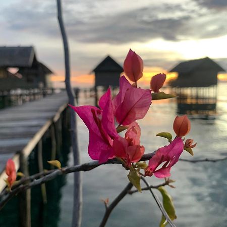 Nyanse Homestay - Raja Ampat Besir Eksteriør billede