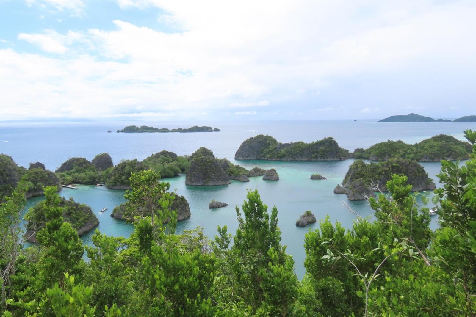 Nyanse Homestay - Raja Ampat Besir Eksteriør billede