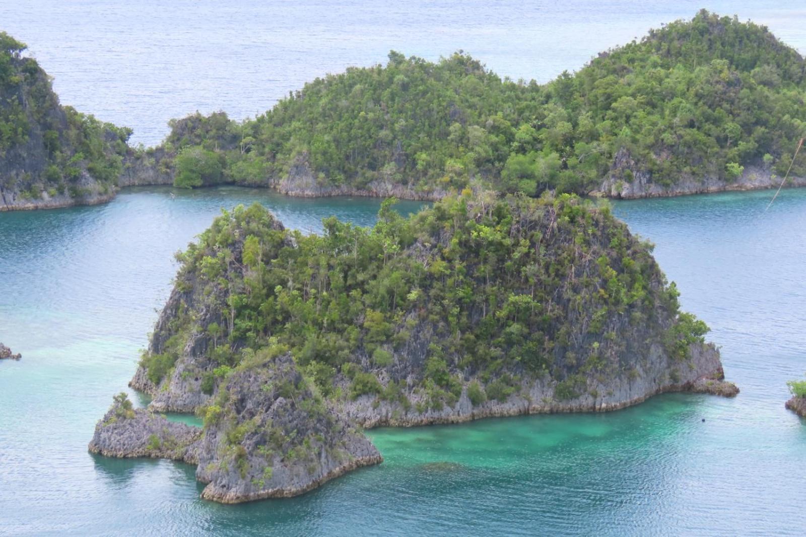 Nyanse Homestay - Raja Ampat Besir Eksteriør billede