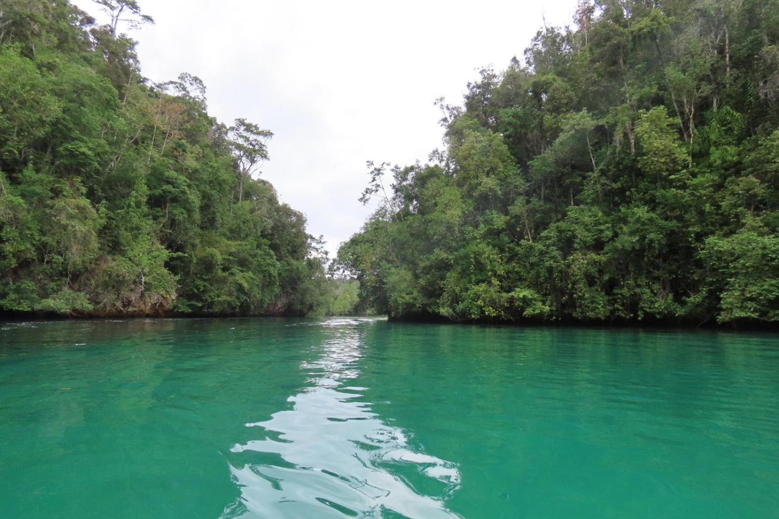 Nyanse Homestay - Raja Ampat Besir Eksteriør billede