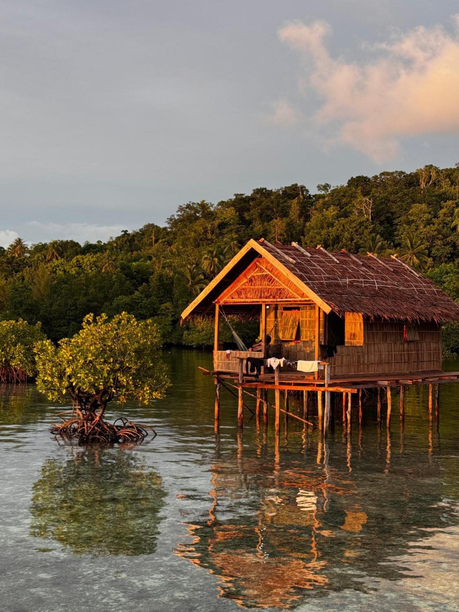 Nyanse Homestay - Raja Ampat Besir Eksteriør billede