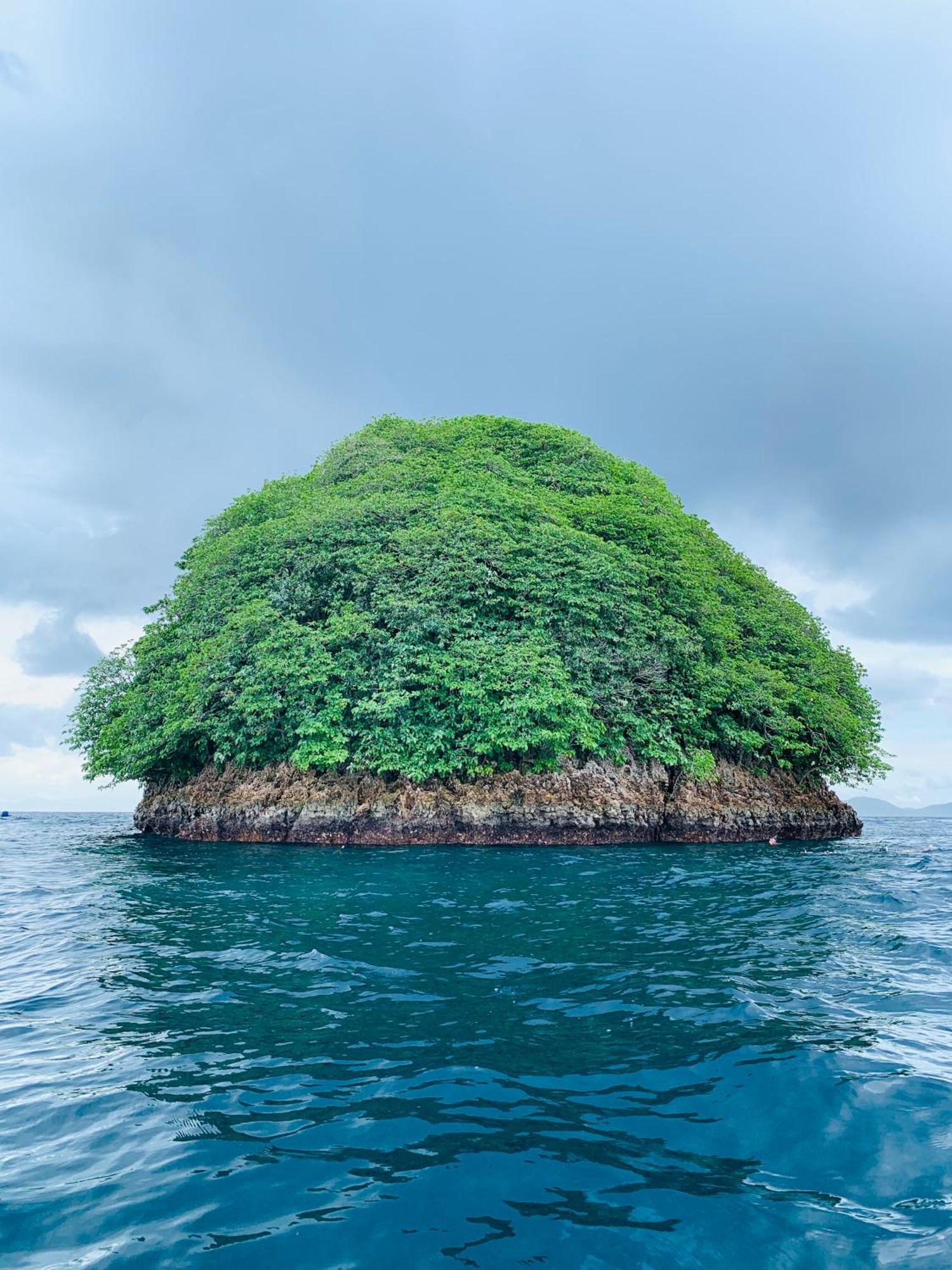 Nyanse Homestay - Raja Ampat Besir Eksteriør billede